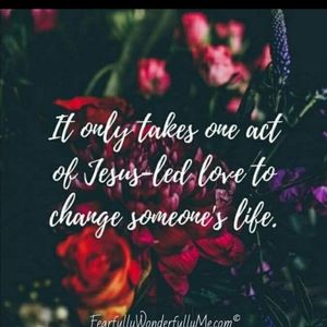 Meet your Posher, Tanya